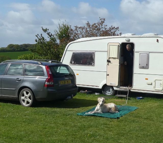 caravan and dog
