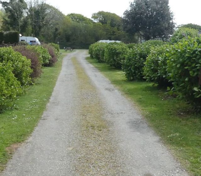 entrance road to the campsite