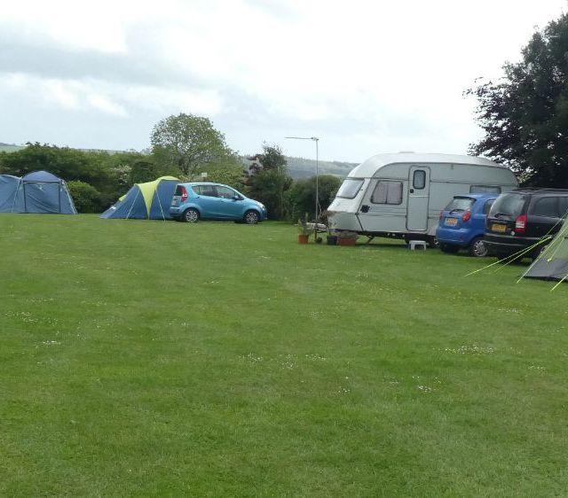 tents with cars